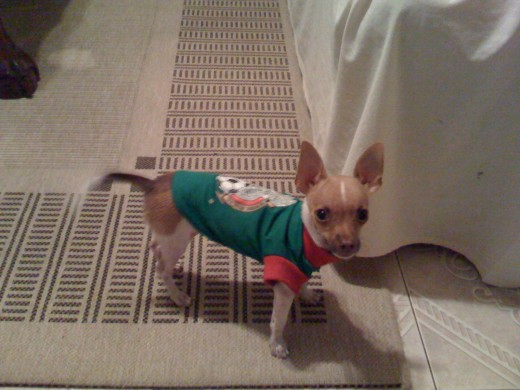 ESTE ES MIKO APOYANDO A LA SELECCION MEXICANA